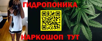 тгк Краснодар