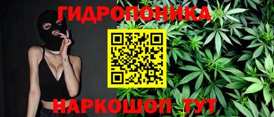 тгк Краснодар