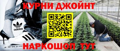 шишки Краснокаменск