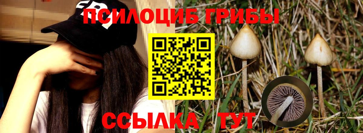 Галлюциногенные грибы прущие грибы Южноуральск
